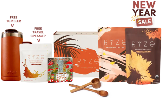 Lasting Energy Bundle Prime A20