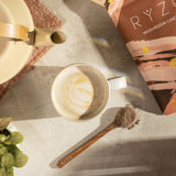 Mushroom Chicory Prime A29