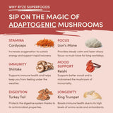 Mushroom Chai Signature A69